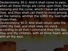 Embedded thumbnail for Did Jesus do away with the Deuteronomy 28 curses? 
